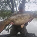 50lb 8oz